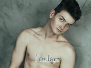 Foxterr