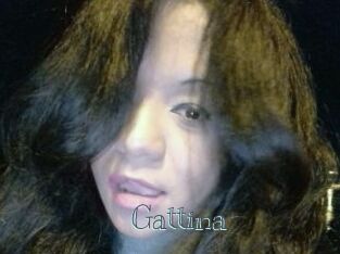 Gattina