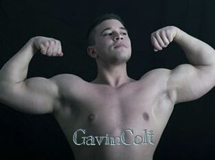 GavinColt