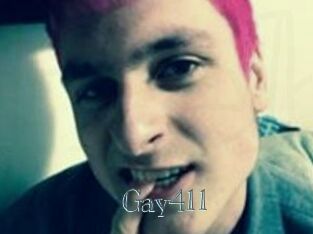 Gay411