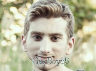 GayBoy55