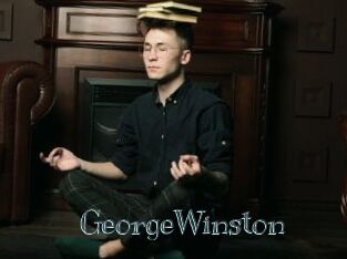 GeorgeWinston Free bizarre links