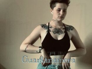 Guantanamera Free bizarre links