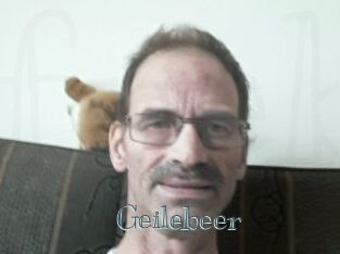 Geilebeer