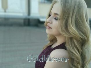 Goldlflower