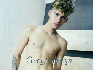 Gropingvoys