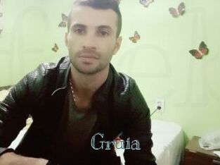 gruia Free bizarre links