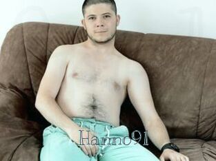 Hanno91