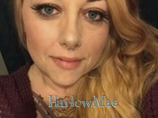 HarlowMae