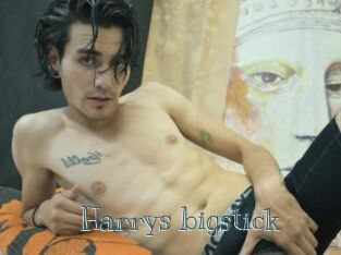 Harrys_bigstick Free bizarre links