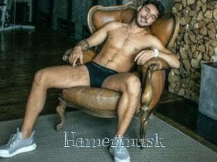 Hamermusk