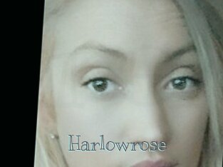 Harlowrose