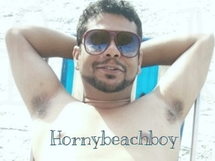 Hornybeachboy