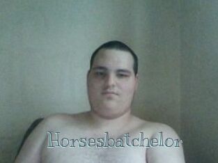 Horsesbatchelor