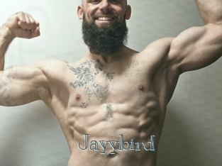 Jayybird