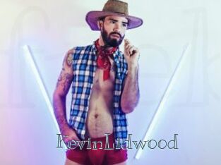KevinLidwood Free bizarre links
