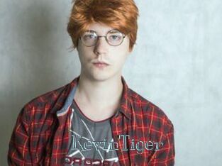 KevinTiger