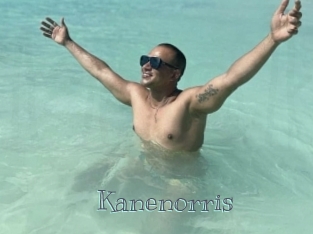 kanenorris Free bizarre links