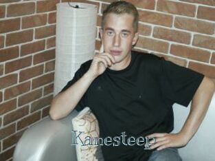 Kanesteep