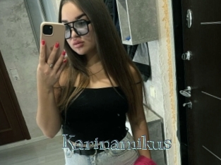 Karinamikus