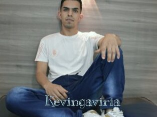 Kevingaviria