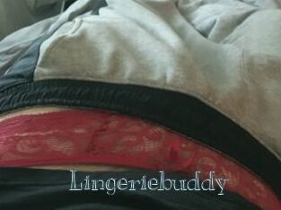 Lingeriebuddy