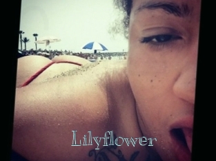 Lilyflower