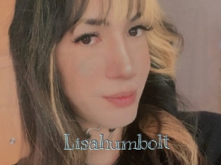 Lisahumbolt