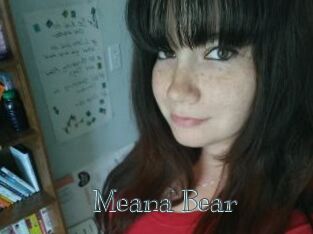 Meana_Bear