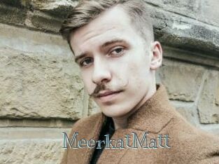 MeerkatMatt