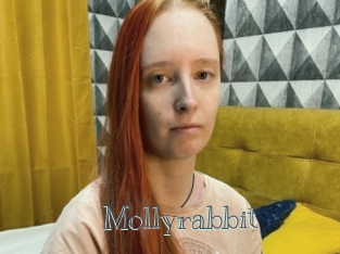 Mollyrabbit