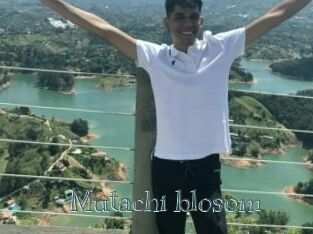 Mutachi_blosom