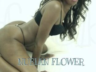 NUBIAN_FLOWER