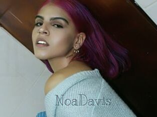 NoaDavis