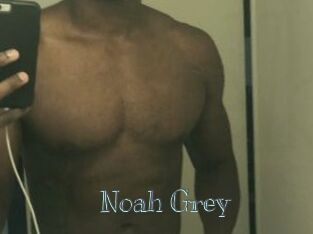 Noah_Grey