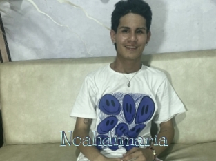 Noahdimaria