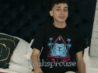 Noahsprouse