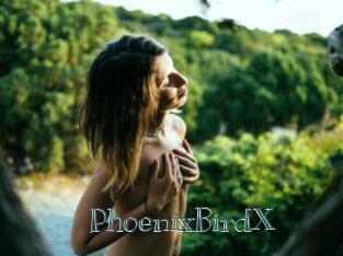 PhoenixBirdX