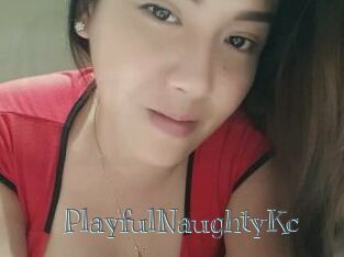 PlayfulNaughtyKc