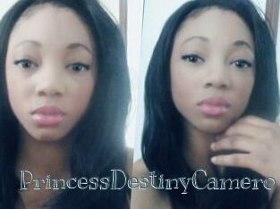 PrincessDestinyCamero