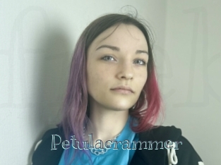 Petulacrammer