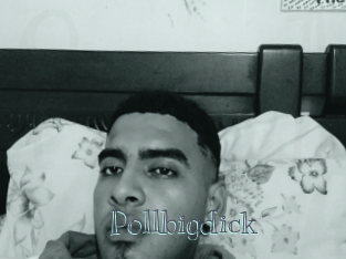 Pollbigdick