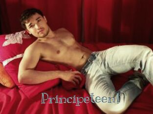Principeteen1