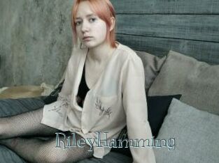 RileyHamming