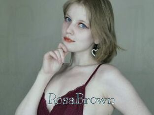 RosaBrown