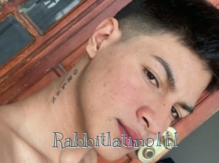 Rabbitlatino111