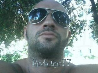 Rodrigo77