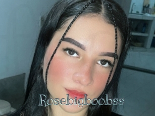 Rosebigboobss