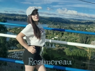 Rosimoreau