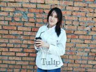 Tulip